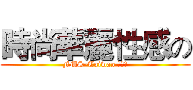 時尚華麗性感の (FMS-Taiwan 幹部板)