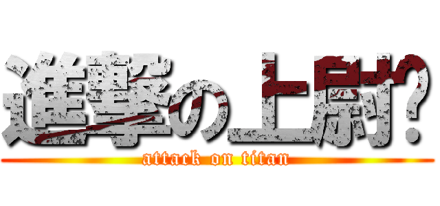 進撃の上尉貓 (attack on titan)