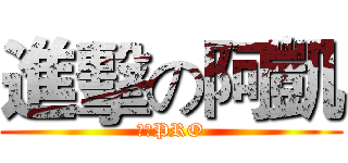 進擊の阿凱 (烤蝦PRO)