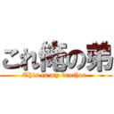 これ俺の弟 (This is my brother )