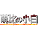 萌比の小白 (MOE than a small white )