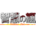智慧の瘋 (Wisdom Mad)