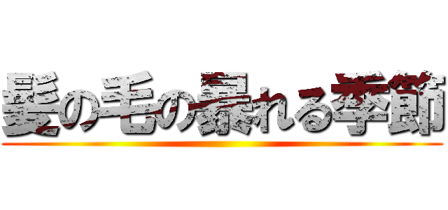 髪の毛の暴れる季節 ()