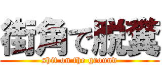 街角で脱糞 (shit on the ground)