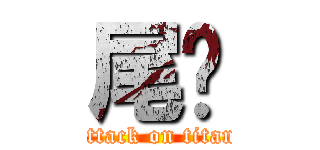 尾蔥 (attack on titan)