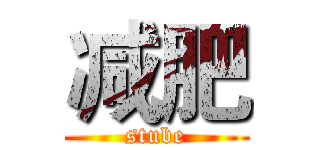 减肥 (stube)