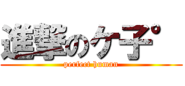 進撃のケ子° (perfect human)