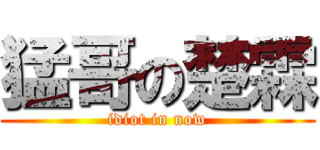 猛哥の楚霖 (idiot in now)