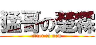 猛哥の楚霖 (idiot in now)