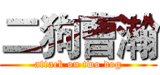 二狗曹瀚 (attack on two dog)
