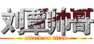 刘覃帅哥 (attack on titan)