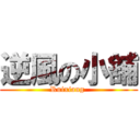 逆風の小舖 (Ruixiang )