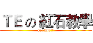ＴＥ の 紅石教學 (youtube實況)