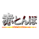 赤とんぼ (aka tonbo)