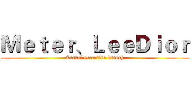 Ｍｅｔｅｒ、ＬｅｅＤｉｏｒ (Cassel executive branch)