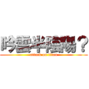 吟雲半陰陽？ (attack on titan)