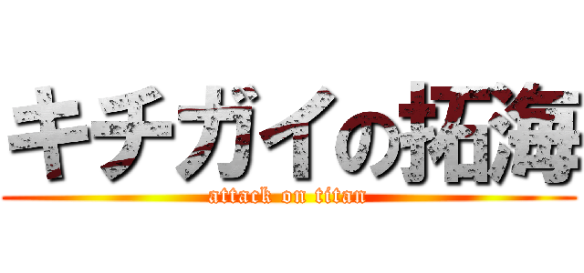 キチガイの拓海 (attack on titan)