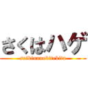 さくはハゲ (saikinnnobitekita)