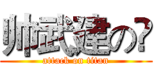 帅武建の👊 (attack on titan)