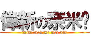 偉新の奈米屌 (nimi dick for wei sin)