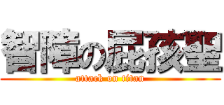 智障の屁孩聖 (attack on titan)