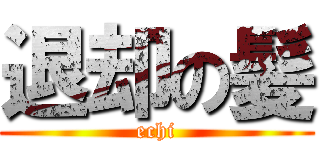 退却の髪 (echi)