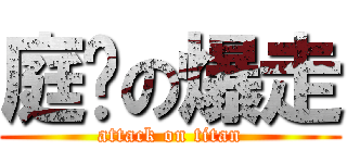 庭瑋の爆走 (attack on titan)