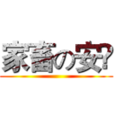 家畜の安寜 ()