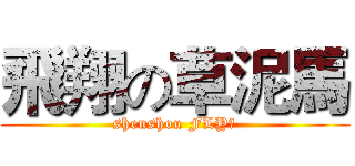 飛翔の草泥馬 (shenshou FLY！)