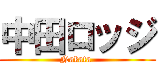 中田ロッジ (Nakata )