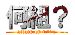 何組？ (attack on titan)