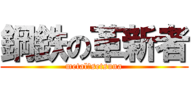 鋼鉄の革新者 (metal　setsuna)