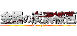 金属の炭素被苞 (carbon capsule)