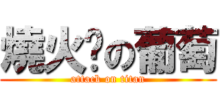 燒火烤の葡萄 (attack on titan)