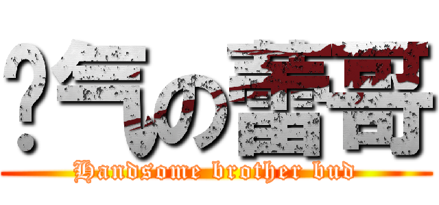 帅气の蕾哥 (Handsome brother bud)