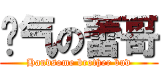 帅气の蕾哥 (Handsome brother bud)