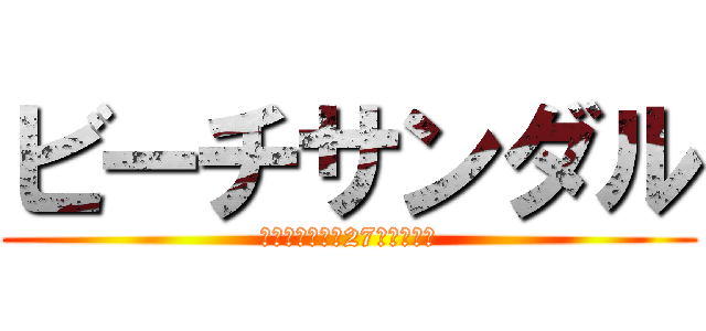 ビーチサンダル (フリーサイズ（27ｃｍ相当）)