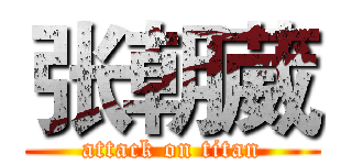 张朝葳 (attack on titan)