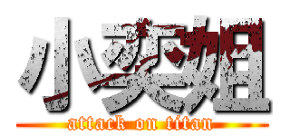 小奕姐 (attack on titan)