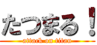 たつまる！ (attack on titan)