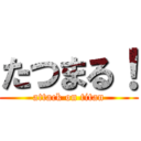 たつまる！ (attack on titan)