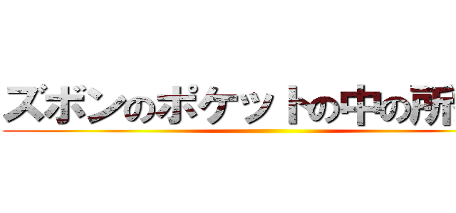 ズボンのポケットの中の所持品 ()