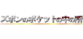 ズボンのポケットの中の所持品 ()