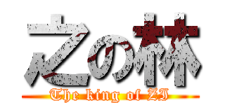 之の林 (The king of ZI)