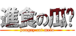 進食の瓜貓 (hungry cat melo)
