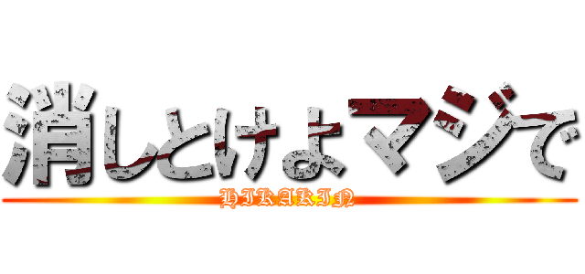 消しとけよマジで (HIKAKIN)