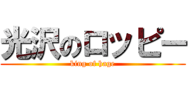 光沢のロッピー (king of hage)