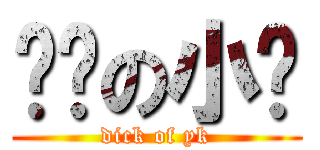 杨凯の小屌 (dick of yk)