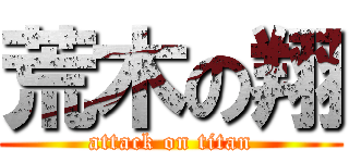 荒木の翔 (attack on titan)