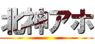 北神アホ ()